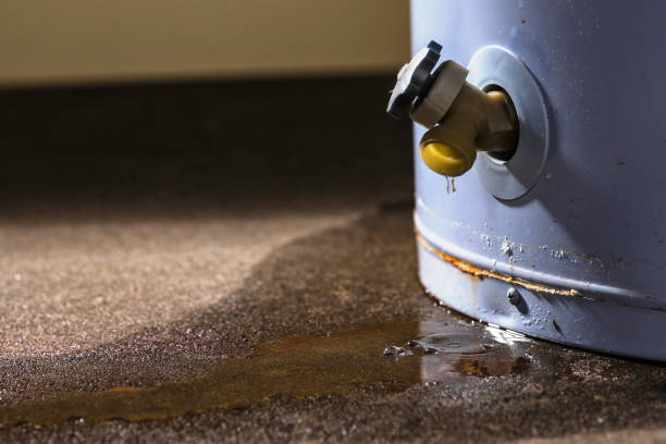 Best Water damage restoration near me  in Cleveland Heights, OH