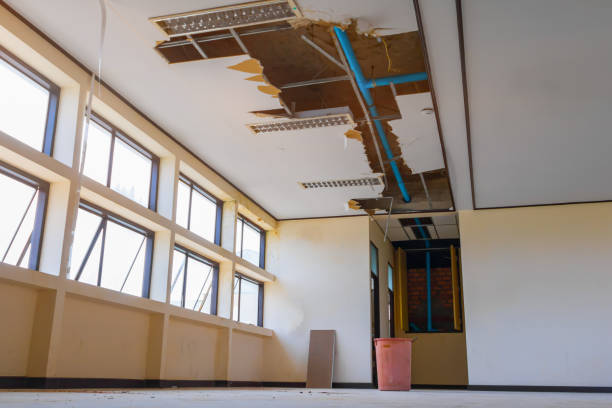 Best 24-hour water damage restoration  in Cleveland Heights, OH