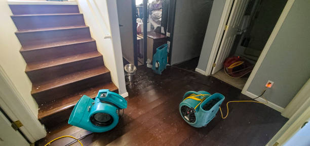 Best Ceiling water damage repair  in Cleveland Heights, OH