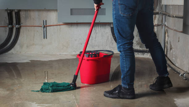 Best Water damage restoration mold remediation  in Cleveland Heights, OH