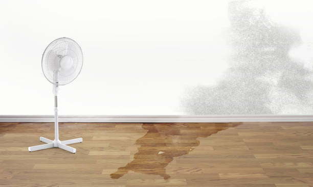 Reliable Cleveland Heights, OH Water damage restoration Solutions