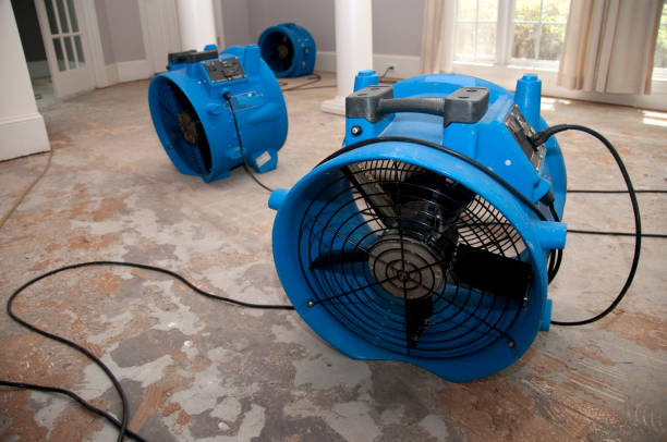 Best Water damage contractors near me  in Cleveland Heights, OH