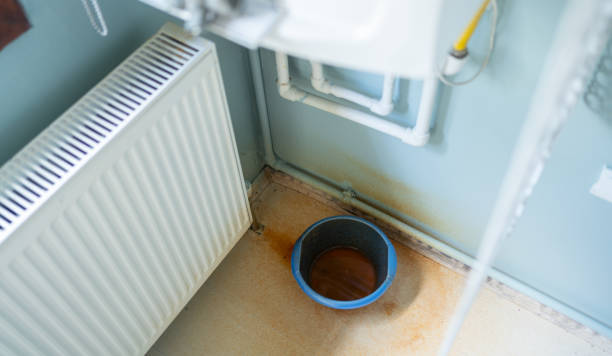 Best Flooded house restoration  in Cleveland Heights, OH