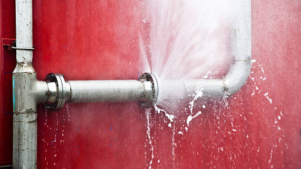Best Carpet water damage restoration  in Cleveland Heights, OH